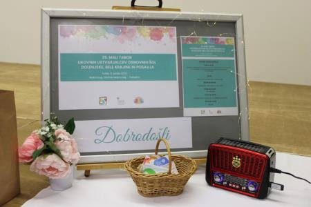 25 Mali likovni tabor, jun 2024, foto JSKD OI Trebnje (12)